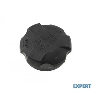 Retur gratuit Capac vas expansiune Hyundai Getz (2002-2009) #1