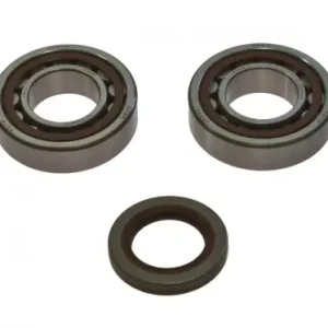 Cel mai vândut Kit rulmenti + semering ambielaj KTM EXC 250 (04-05) – EXC – MXC – SX 400-450 (00-07) – EXC – SX 4T LC 520-525 Racing (00-07) (Moose Racing)