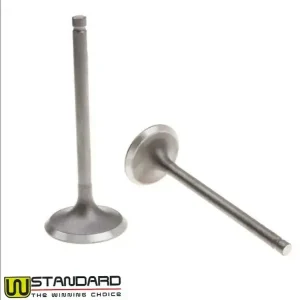 Set supape Honda CG125 – ATV-uri si motociclete 125cc (W Standard) Mai ieftin