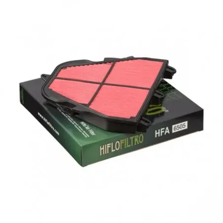 Livrare rapidă Filtru aer HifloFiltro HFA6505