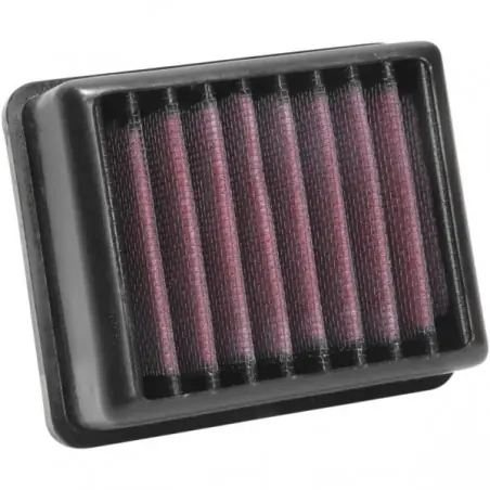 Ofertă specială Filtru aer sport K&N BMW G310R/GS BM-3117