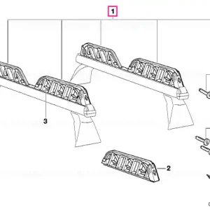 Ski carrier Retur gratuit