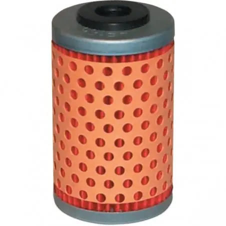 Plată securizată Filtru ulei KTM 99- 07 HifloFiltro HF155