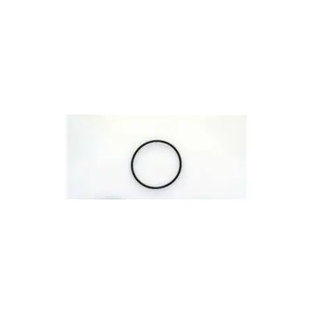 Ofertă specială O-ring cilindru receptor Beta RR 2T/4T XTrainer 1066840000