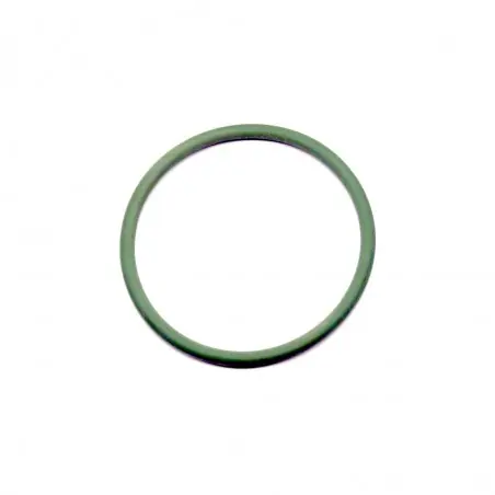 Doar azi O-ring evacuare Beta 2T 1066930000