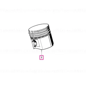 Bestseller Piston Mahle 79,98MM("0") - BMW