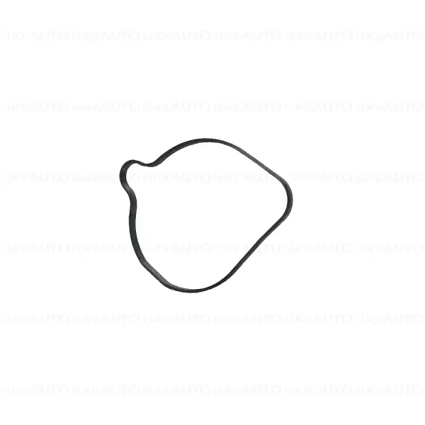 Super ofertă Garnitura pompa lichid racire - BMW Motorrad K14 (F 650 CS), K15 (G 650 X), R13 (F 650 GS, GS Dakar), R13 (G 650 GS)