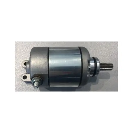 Electromotor Beta RR 4T 350/400/450/498/520 2010-2014 006070000000 Plată securizată