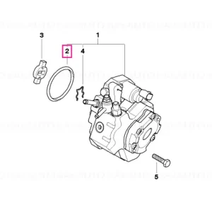 Cumpără acum Inel de etanșare - BMW - Mini
