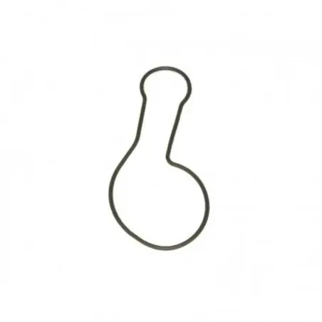 Lichidare de stoc Garnitura capac pompa apa BETA RR 2T 250/300 / Xtrainer 026010350000