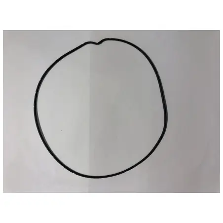 O-Ring capac ambreiaj Beta RR 2T 250/300  XTrainer 026010410000 Ofertă exclusivă