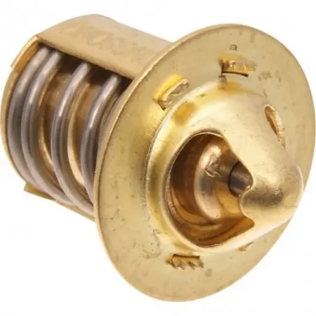 Termostat Beta 2T OEM 026390130000 Popular