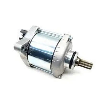 Electromotor Beta RR 4T 350/390/430/480 14-19 029070008000 Lichidare de stoc