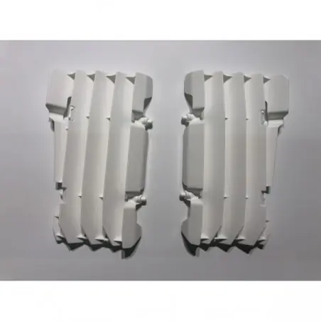 Ieftin Set grila radiator Beta RR 2013-2019 OEM 031390030051