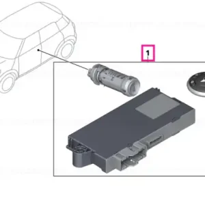 Set sistem inchidere uniform CAS 868 MHZ - BMW - Mini Preț mic