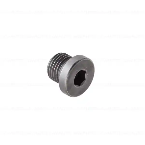 Preț redus Dop filetat, M10x1 ZNNIV SI - BMW i3 I01 - BMW Motorrad K48 (K 1600 GT, K 1600 GTL), K61 (K 1600 Bagger), K80 (F 750 GS, F 800 GS), K81 (F 850 GS, F 900 GS), K82 (F 850 GS Adv., F 900 GS Adv.), K83 (F 900 R), K84 (F 900 XR)