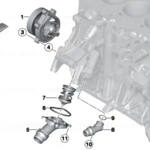Expediere rapidă Dowel - BMW - Mini