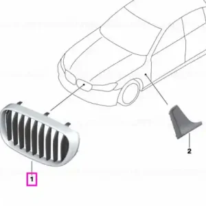 Transport gratuit Grila radiator fata, stanga, Night Vision - BMW Seria 7 G11 G12