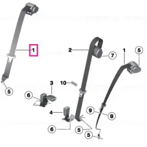 Upper strap, rear outer SCHWARZ - BMW Discount